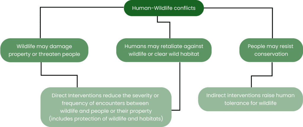 Understanding Human-Animal Conflict