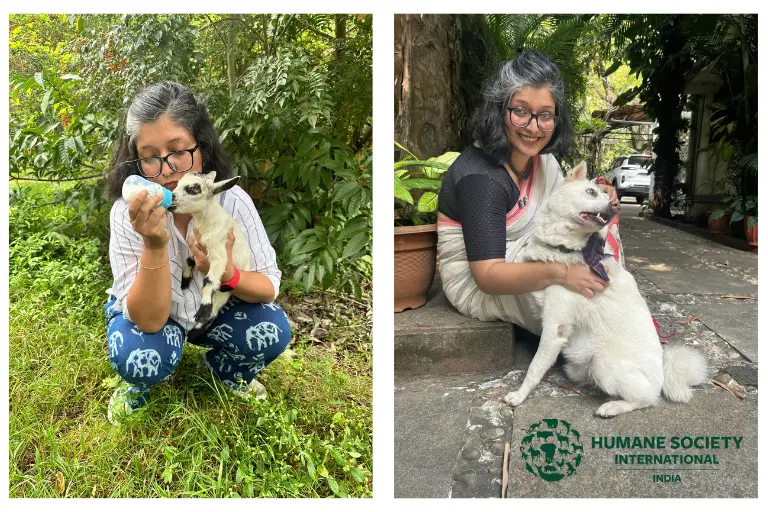 Partner Spotlight | Humane Society International/India